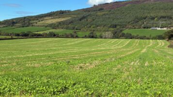 Photo 21-09-2026, 14 43 14